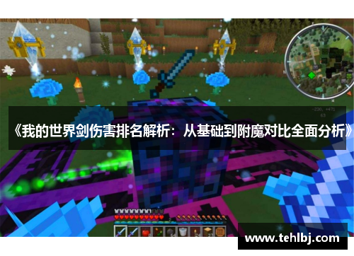 《我的世界剑伤害排名解析：从基础到附魔对比全面分析》