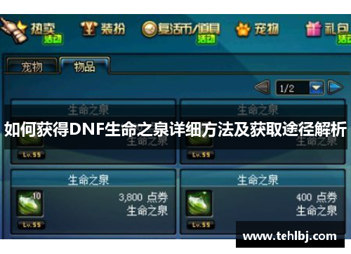 如何获得DNF生命之泉详细方法及获取途径解析